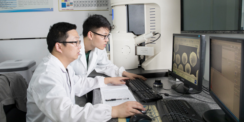 Research & Testing